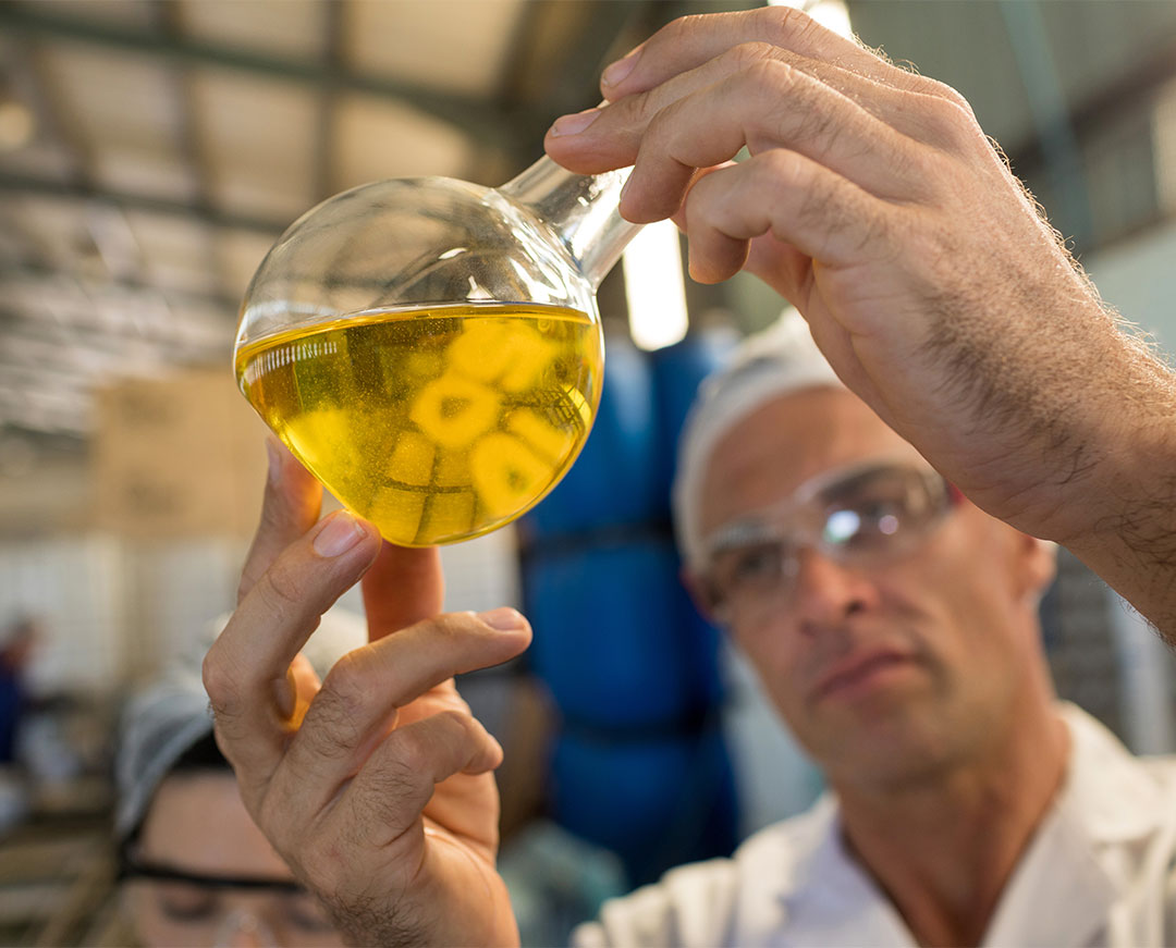 Aceituna-Laboratorio