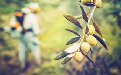 La transformación de la agricultura europea: Reducción de insecticidas y más sostenibilidad