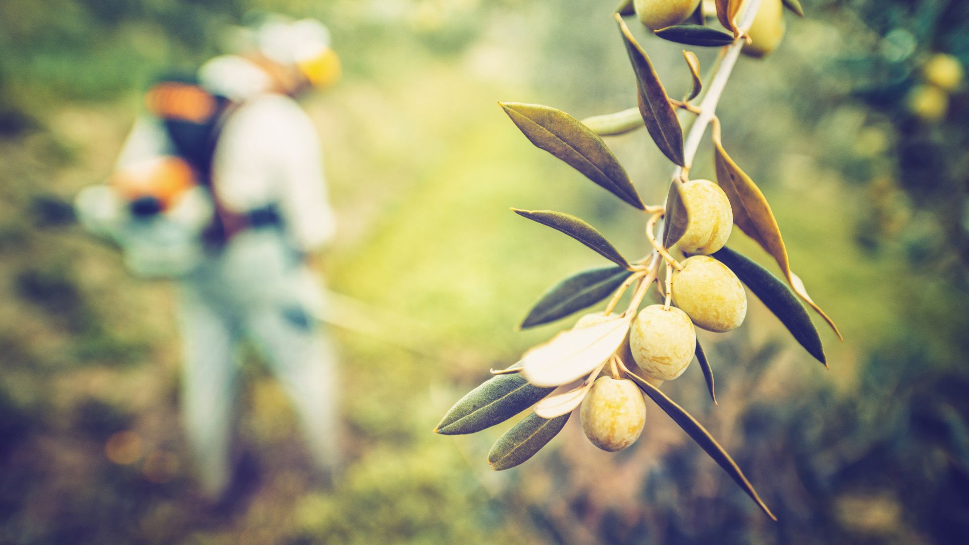 reduccion de insecticidas