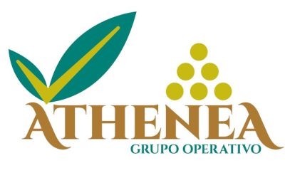 Una segunda vida para los subproductos de la aceituna transformándolos en alimento para ganado