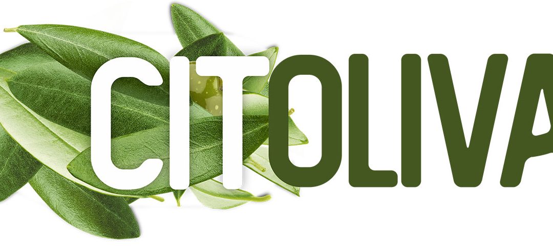 Citoliva lleva a Expoliva la revolución tecnológica y sostenible del olivar a través de ESPACIOINNOVA