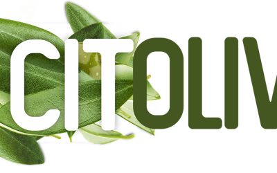Citoliva lleva a Expoliva la revolución tecnológica y sostenible del olivar a través de ESPACIOINNOVA