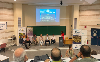 MOSOLIVE 10×10, SAMM_IRO, SOST-BISCUITS y VITA-TERRA revolucionan el olivar andaluz con soluciones pioneras en seguridad alimentaria, digitalización, salud y sostenibilidad
