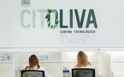 El Panel de Cata de CITOLIVA vuelve a obtener el máximo reconocimiento del Consejo Oleícola Internacional